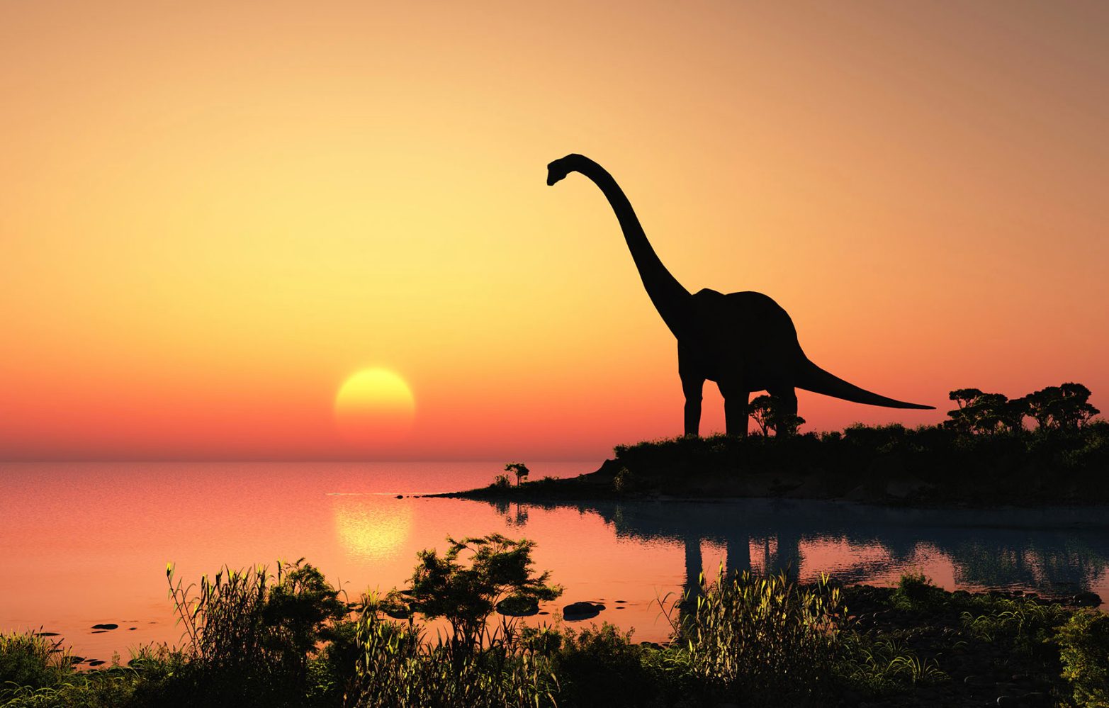 We may finally know where dinosaurs came from