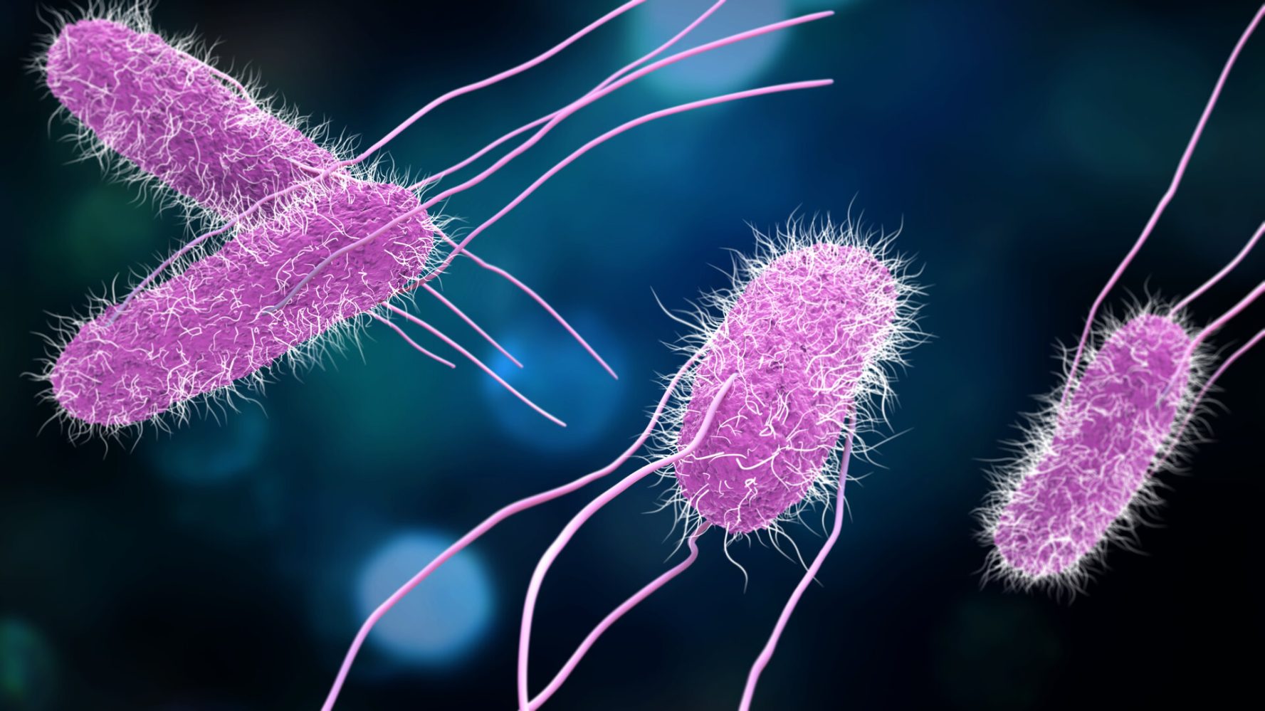 Scientists may have discovered how to fight drug-resistant bacteria